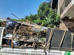 Best Yard Waste Removal  in Beverly Hills, FL